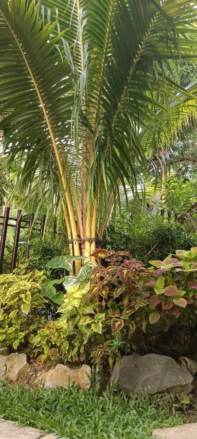 Layang Layang Home El Nido Luaran gambar